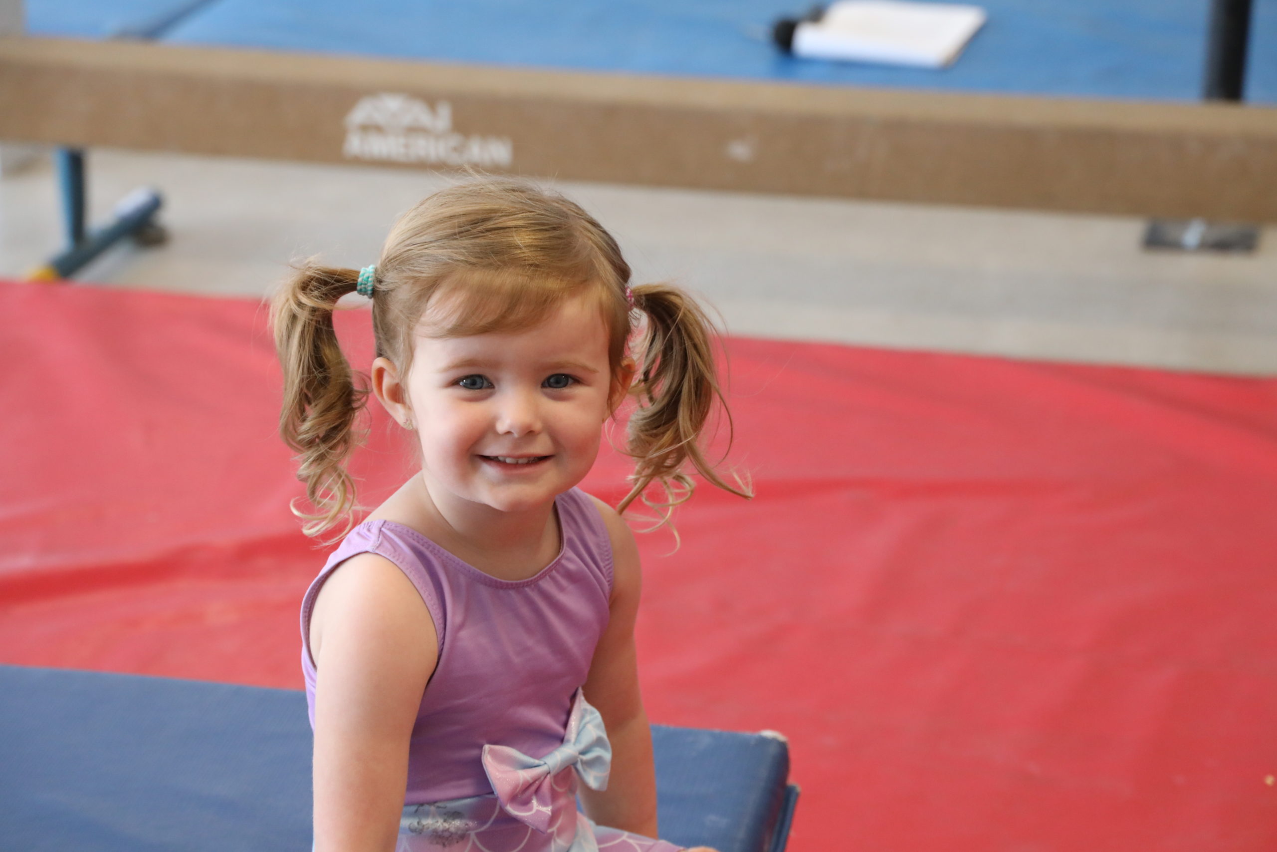 Gallery – GymCats Gymnastics Academy